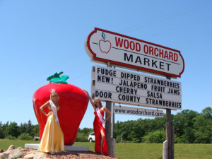 wood-orchard-sign-apple