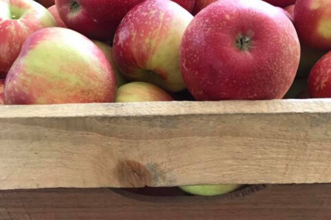 Interwater Farms Box of Apples