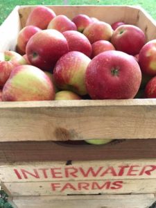 Interwater Farms Box of Apples